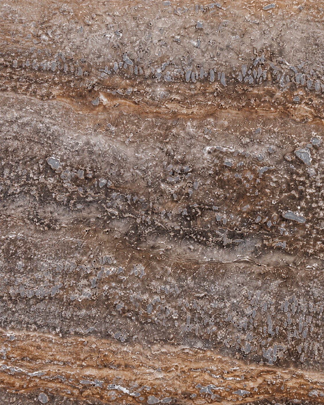 Losa de Silver Titanium Travertine